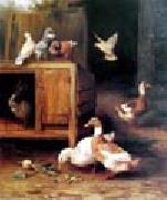 unknow artist Duck and Pigeon oil on canvas